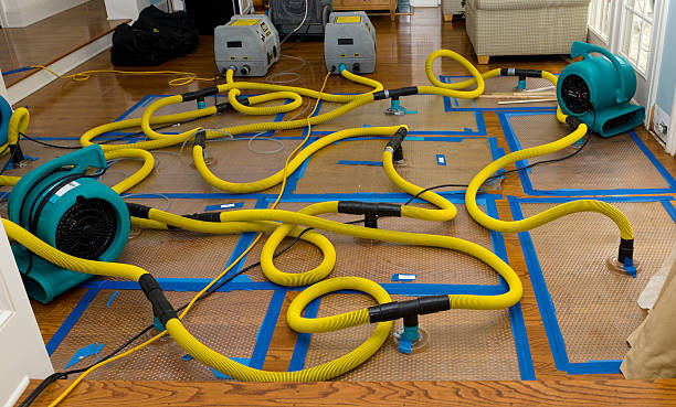 Professional Burst Pipe Water Damage technician working in Haviland, OH